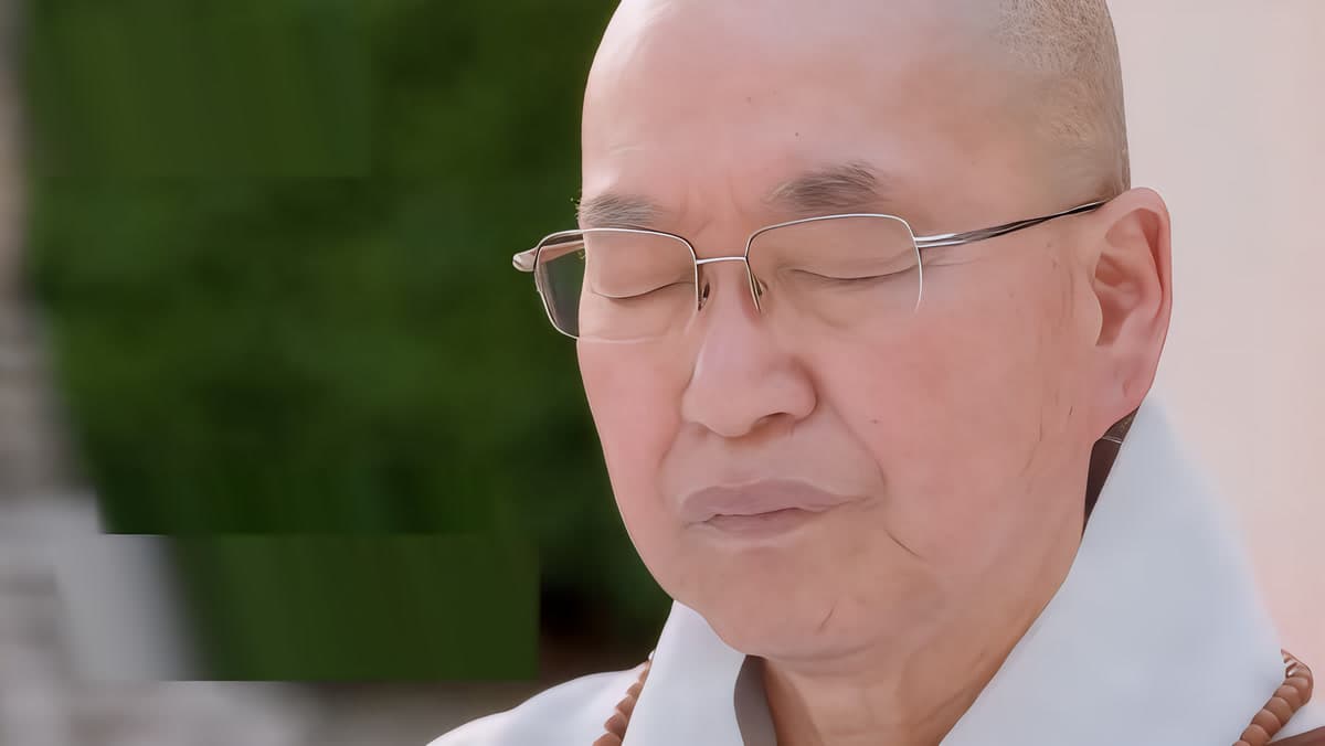 พระภิกษุที่ปฏิเสธทีวีนาน 34 ปี ปรากฏตัวในรายการวาไรตี้ SBS